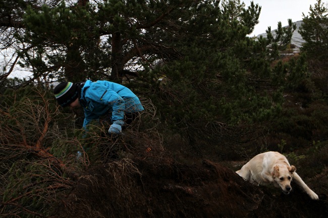 IMG_7812