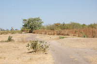 DSC_0013.JPG