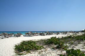 IMG_0713.JPG
