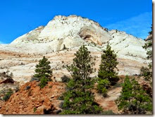 Zion National Pk 021