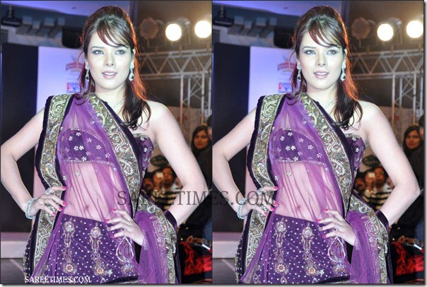 Designer_Shimmer_Saree