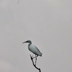 IMG_6693.JPG