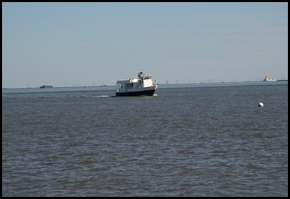 IMG_2490 IMG_2490