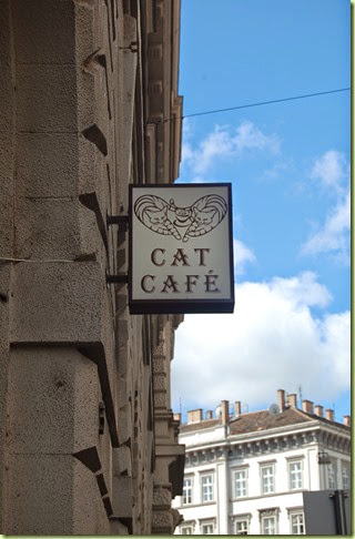 DSC_0020 DSC_0020