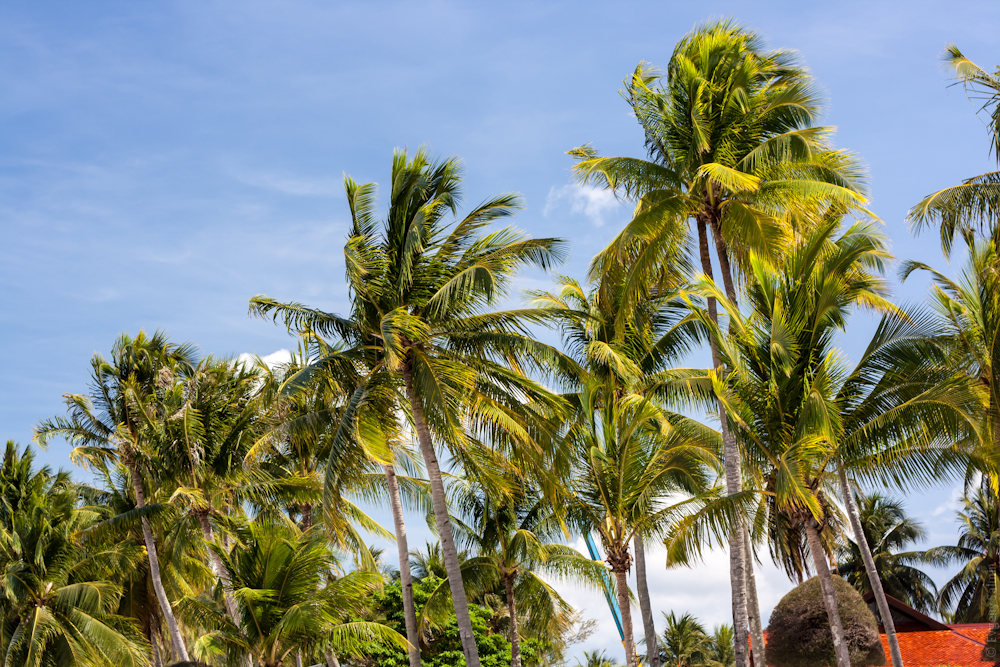 Лангкави, Малайзия - август 2012 (ч.2 - Пляжи)