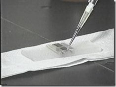 Meletakkan jaringan di atas kertas saring yang dilapisi kolagen dalam multi-well plate
