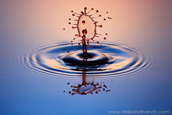 liquid-drop-art-gotas-caindo-foto-velocidade-hora-certa-desbaratinando (105) liquid-drop-art-gotas-caindo-foto-velocidade-hora-certa-desbaratinando (105)