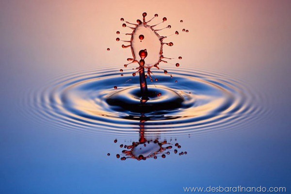 liquid-drop-art-gotas-caindo-foto-velocidade-hora-certa-desbaratinando (105)