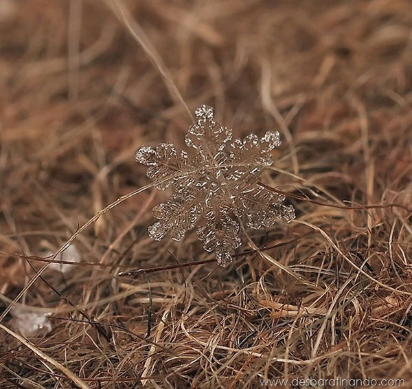 flocos-de-neve-macro-snowflakes-macro-photography-andrew-osokin-desbaratinando (12)