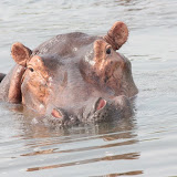 Uganda