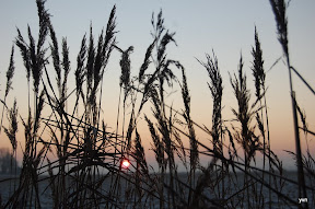 "Het kleine Paradijs" "natuur in de omgeving"