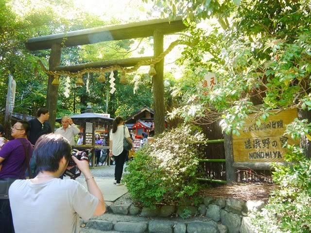 [P10400453.jpg]