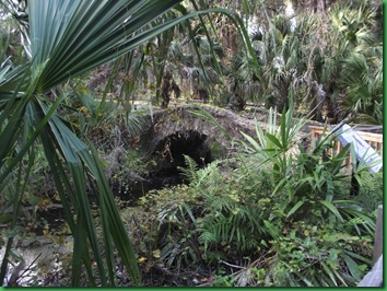 Salt Springs Monday 064