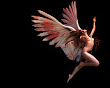 Wizdom Of Beautiful Angel