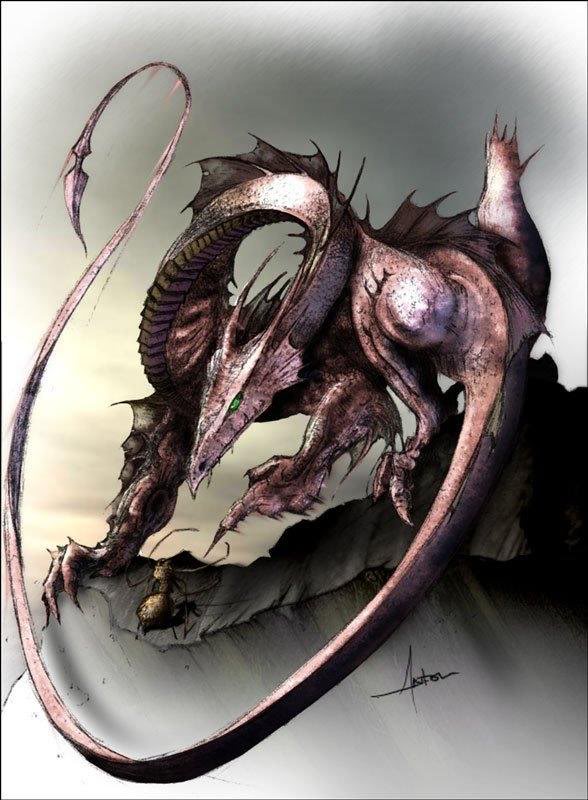 Dragon Spider, Dragons