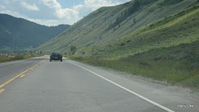 IMG_4239.jpg