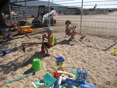 IMG_8737 IMG_8737