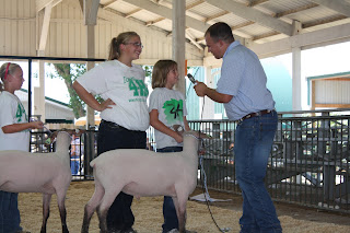 Clover Kid member Olivia Pacha visited with the judge while her 4-H Sheep Mentor, Joceline Spenner, stood alongside.  Another Clover Kid member Hailey Schultz waited anxiously for her turn with the judge.  Lambs behaved exceptionally well during the heat and new showman.   Photo Courtesy of the Washington County Extension.