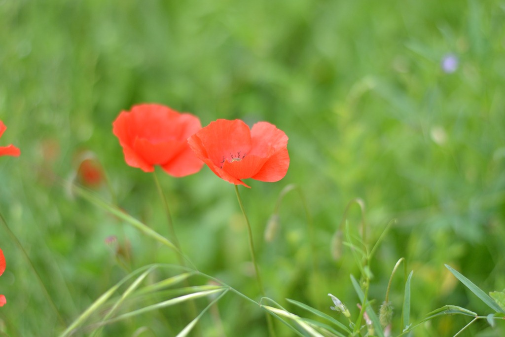 [DSC_0004%2520-%2520Copia%255B5%255D.jpg]