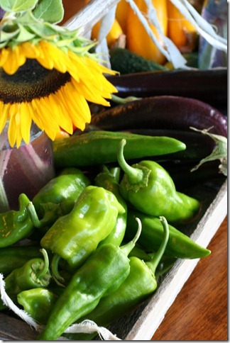 veggies 077 veggies 077