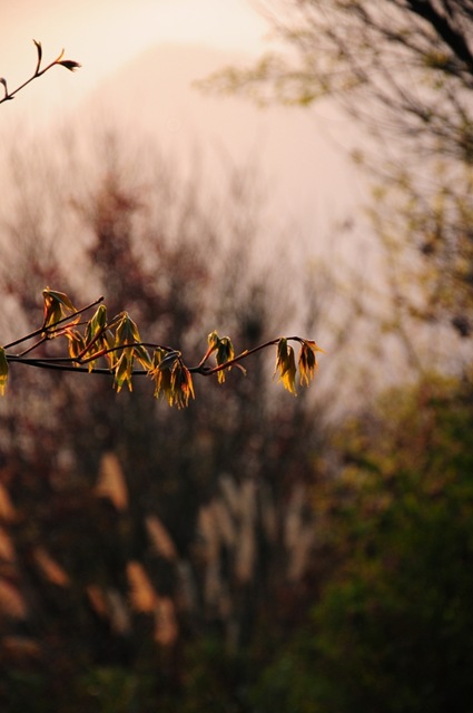 [DSC_5037%255B6%255D.jpg]