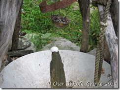 egg on omphalos