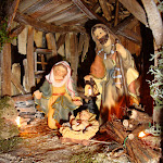 1455-3.JPG