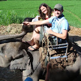 Riding Elephants