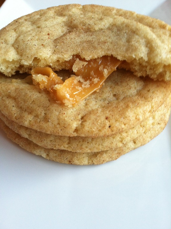 [snickerdoodle%2520069%255B4%255D.jpg]
