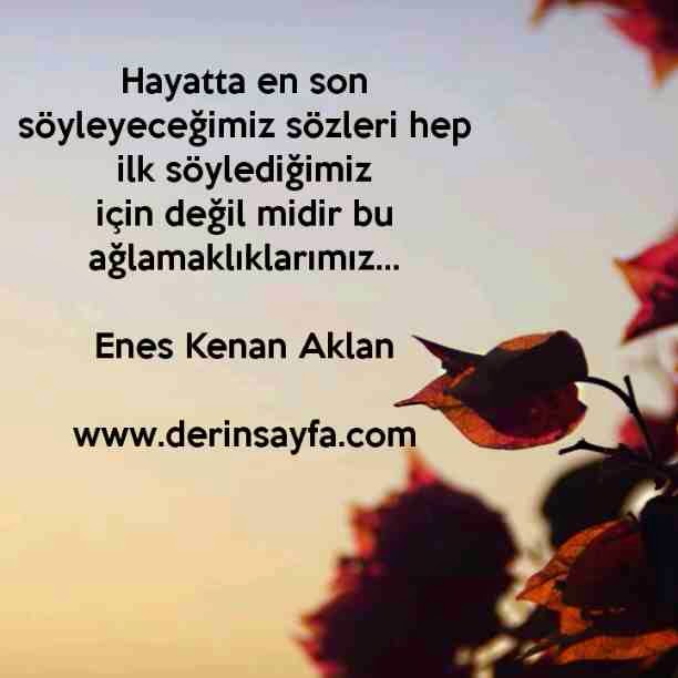 08h6315f85v997z74x31c9525.jpg