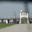 Polen 2011_Leubus81.jpg