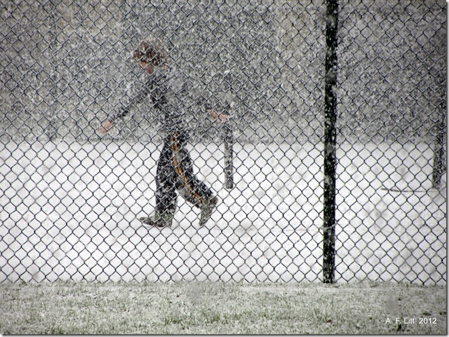 Snow.  Holly Ridge.  Gresham, Oregon.  January 15, 2012.