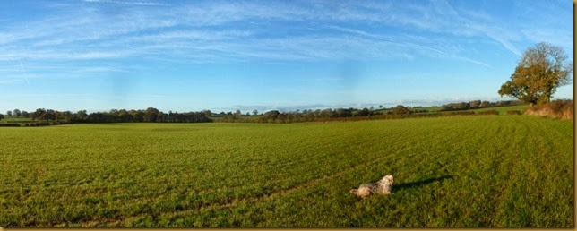Panorama Panorama