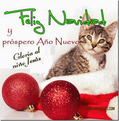 88 feliz navidad 021 1 88 feliz navidad 021 1