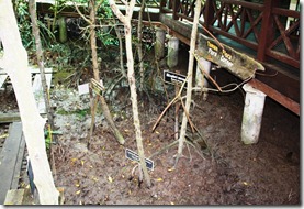 IMG_1350 IMG_1350
