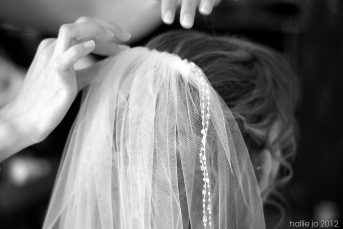 Wedding14 Wedding14