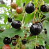dsc01199.jpg