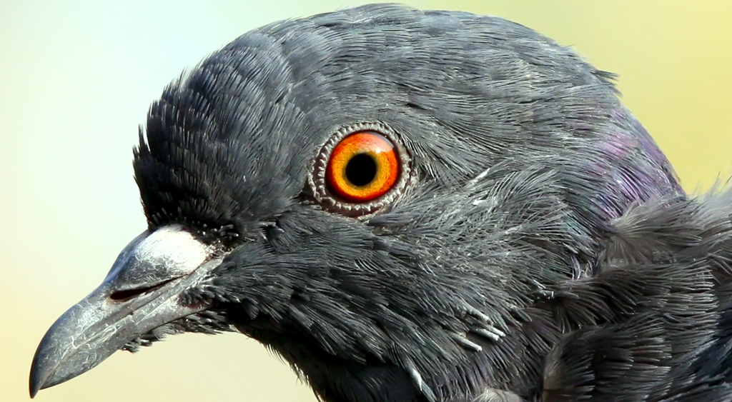 [image4.png]