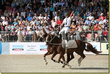 IMG_1695 IMG_1695