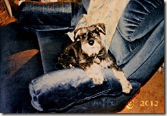 Young Sammy
