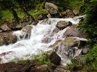 IMG_1163.jpg