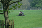 There's plenty to mow!