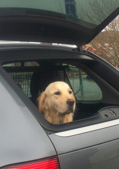 60 lilla leia i bilen 60 lilla leia i bilen