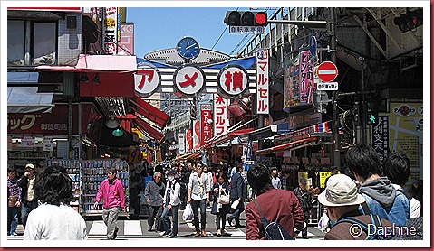 IMG_4060 IMG_4060