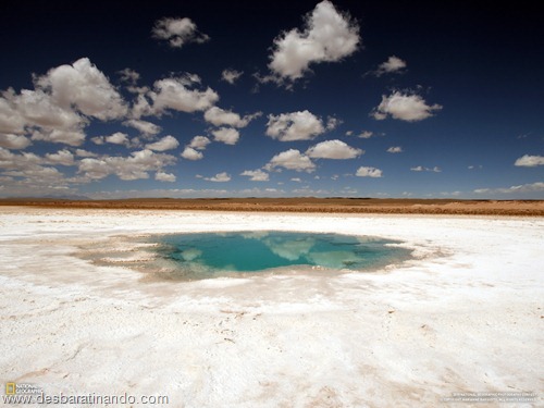 wallpapers national geographic desbaratinando (49) wallpapers national geographic desbaratinando (49)