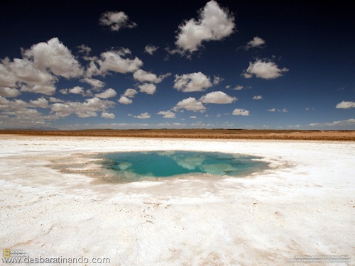 wallpapers national geographic desbaratinando (49)