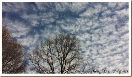 Winter Sky Jan 2015 at Thoughts in Progress Winter Sky Jan 2015 at Thoughts in Progress