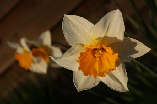 IMG_6419 IMG_6419