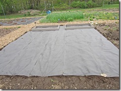Plot with landscape fabric