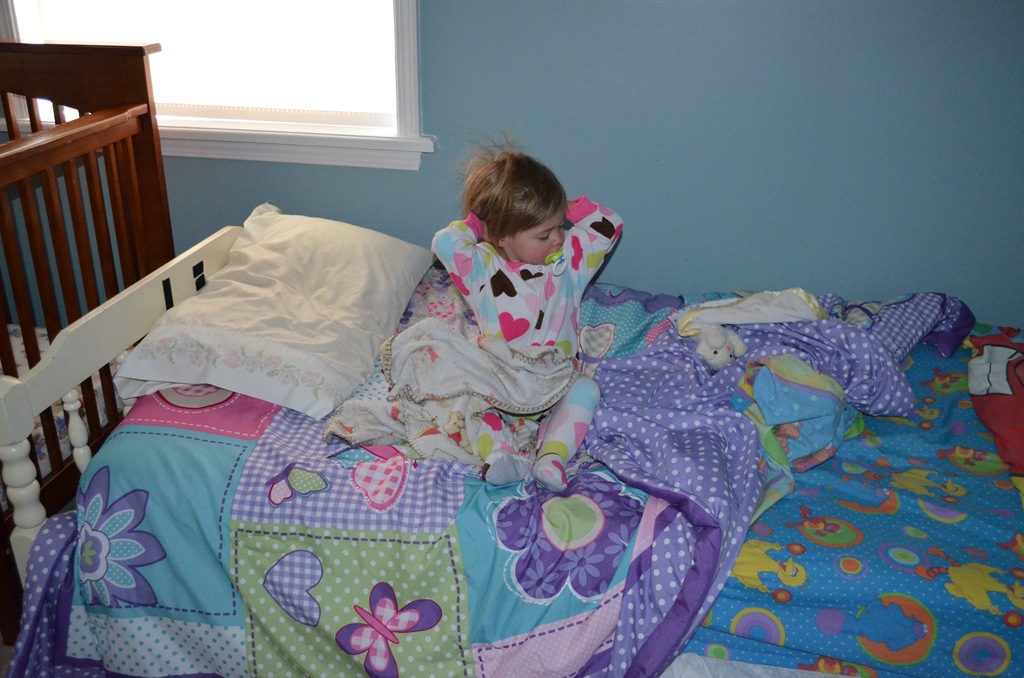 [DSC_0536%255B3%255D.jpg]